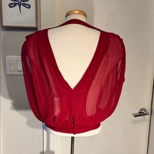 Lux Red Sheer Blouse